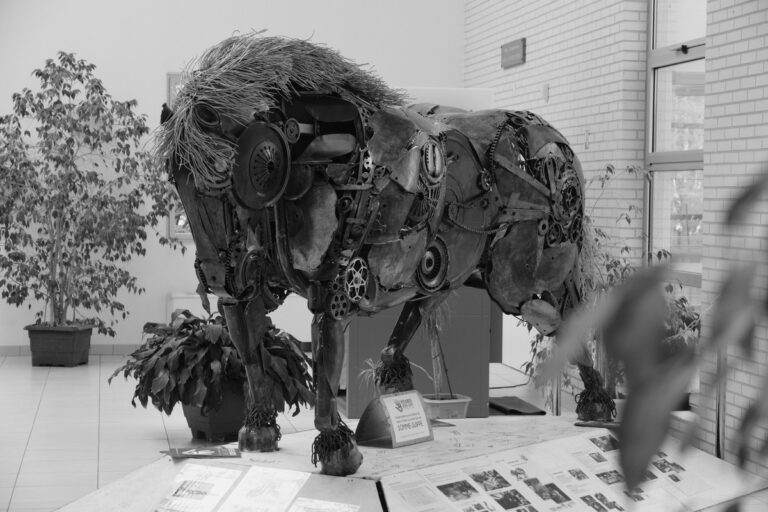 photo_1